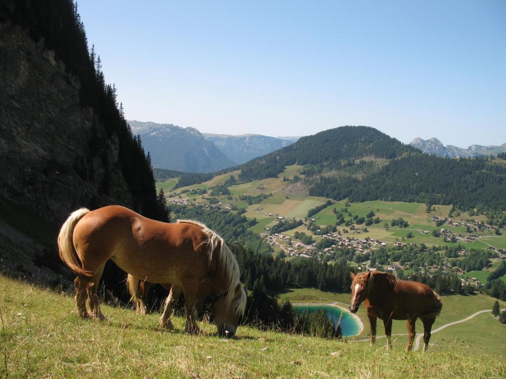 Hotel Bellachat La Clusaz Ngoại thất bức ảnh